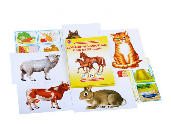Настольная игра Радуга Домашние животные и их детеныши
